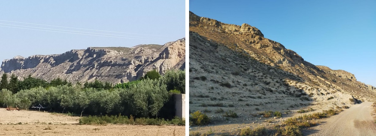 Destrucción “reiterada” de nidos de abejaruco en Alfocea