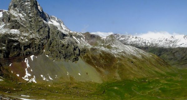 Sociedad Aragonesa para la Protección de los Animales y las Plantas (SAPAP)