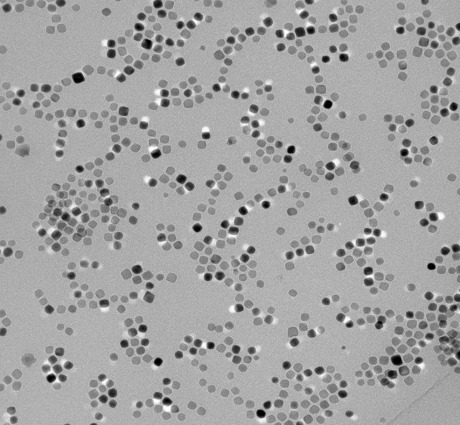 Nano4zombie: eliminar células tumorales con nanopartículas magnéticas