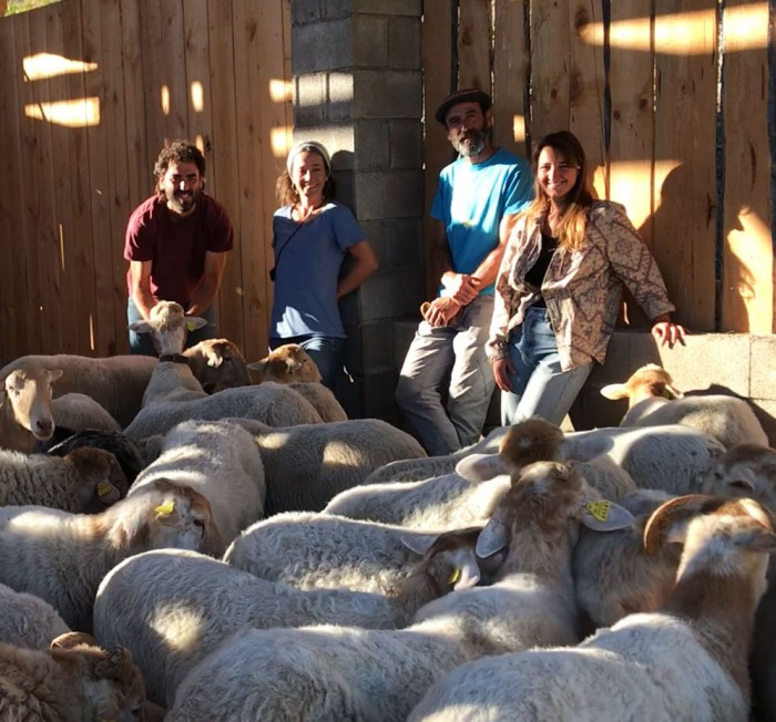 ¿Quieres ayudar a crear una pequeña quesería en el Pirineo aragonés?