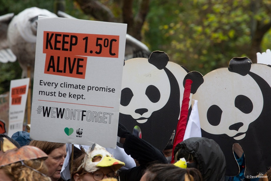 La COP28 debe marcar el principio del fin de los combustibles fósiles, “la mayor causa de la crisis climática”