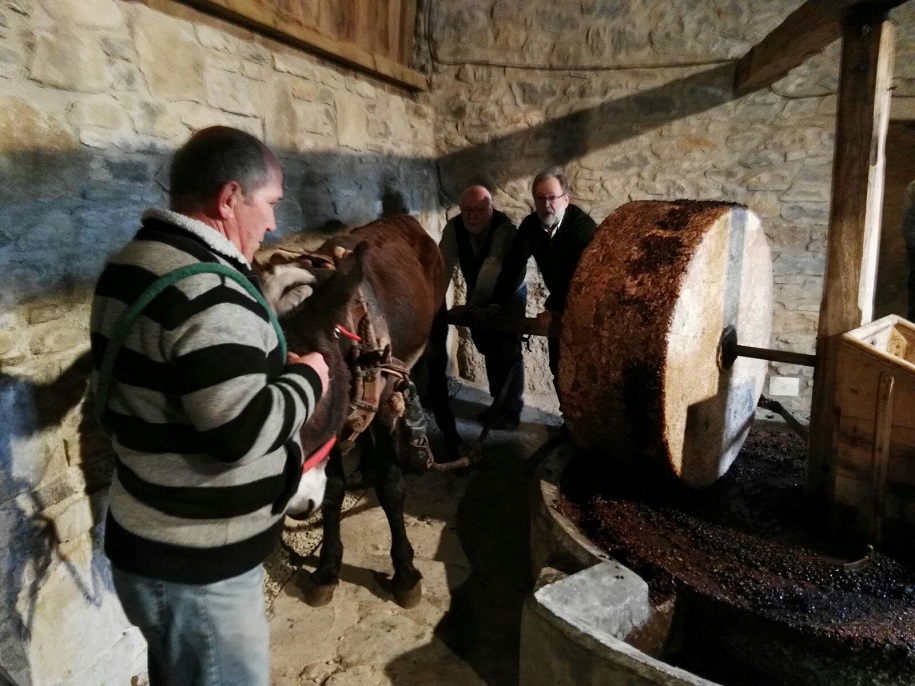 Molienda de aceite en Troncedo: recuperar el patrimonio para disfrute popular