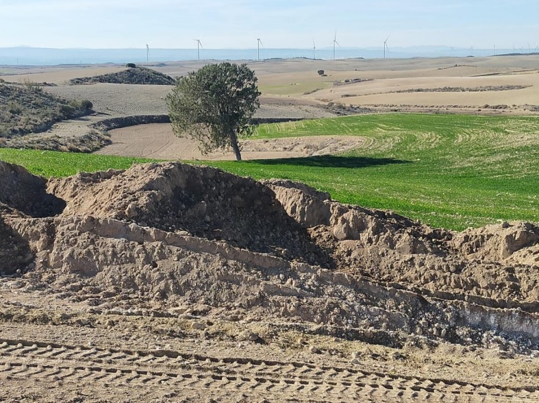 Solicitan la paralización cautelar de las obras del Parque Eólico “Las Sardas” en Farlete