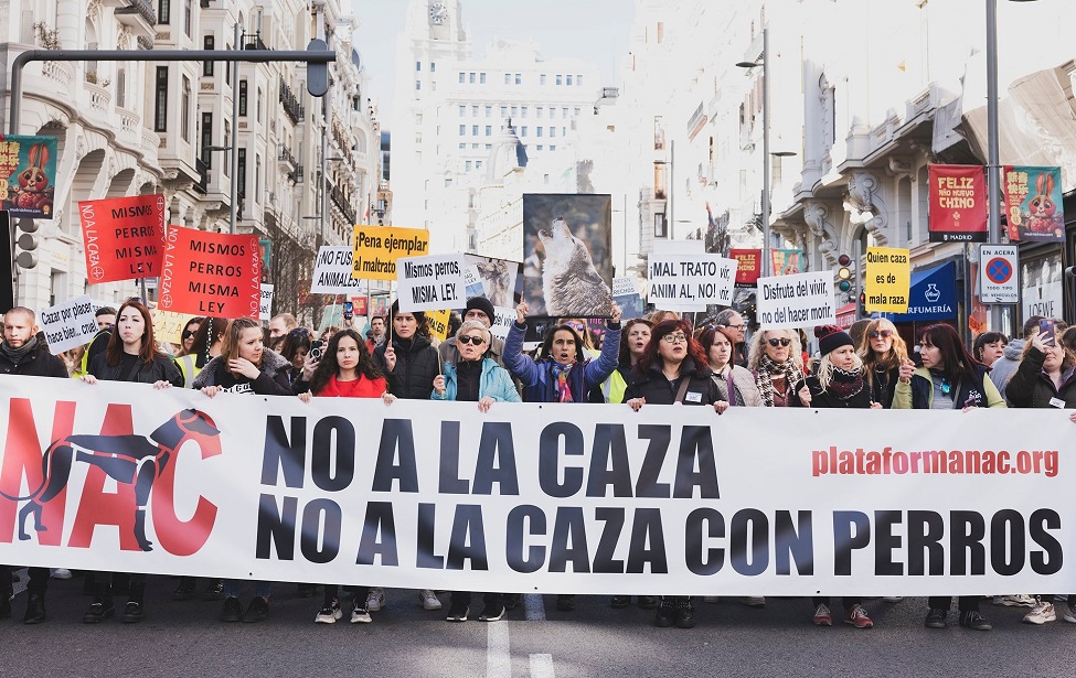 Manifestación en Uesca “contra las prácticas en las que se usan perros como herramientas de caza”