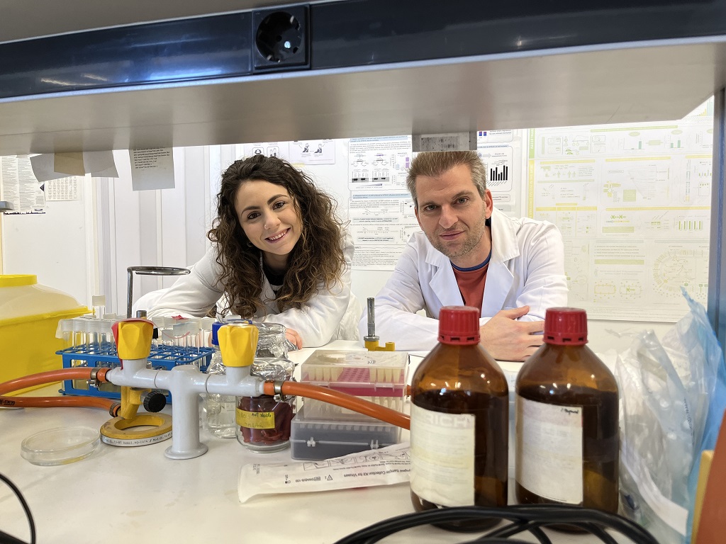 Demuestran una relación directa entre la tuberculosis y niveles óptimos de vitamina B12