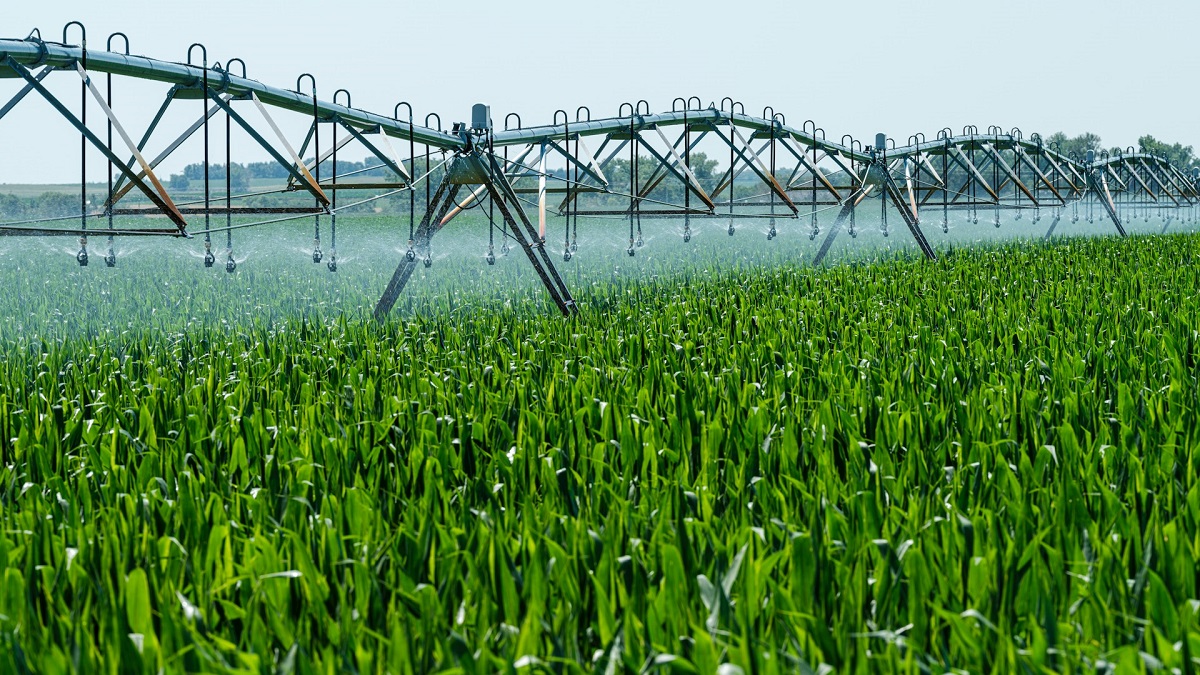 La reducción del consumo de agua es clave para “adaptarse a los impactos crecientes del cambio climático”