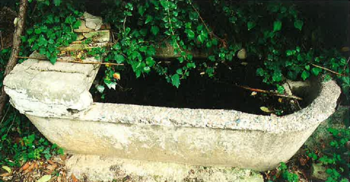 Inauguración de la exposición “Naturaleza mágica. Fuentes curativas de Zaragoza”