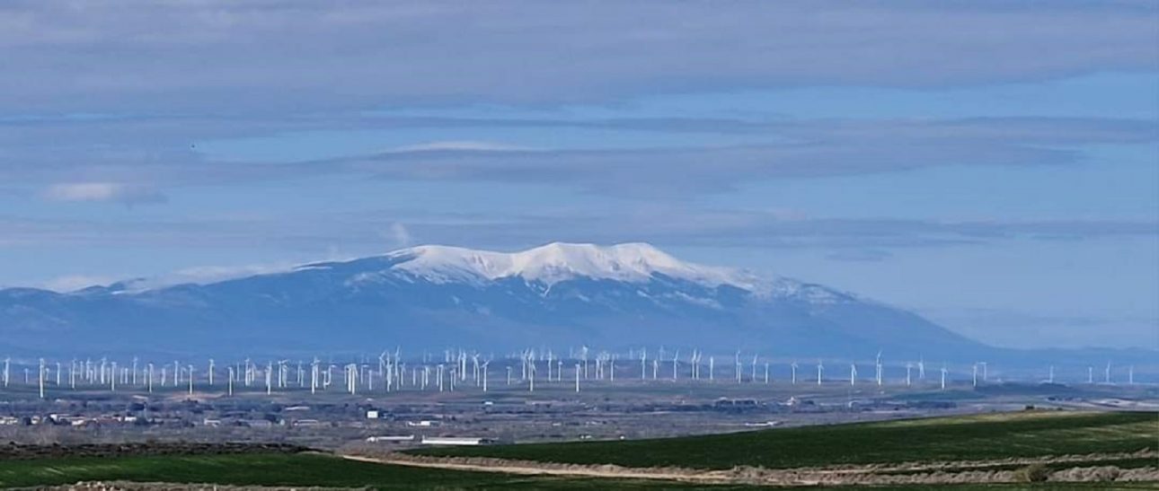 Proponen la suspensión de licencias para parques eólicos o fotovoltaicos en Borja