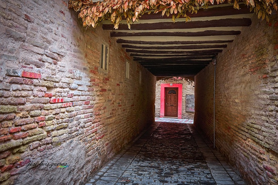 Puyalón reclama la intervención de Zaragoza Vivienda pa la conservación d'o patrimonio arquitectonico en o Rabal viello