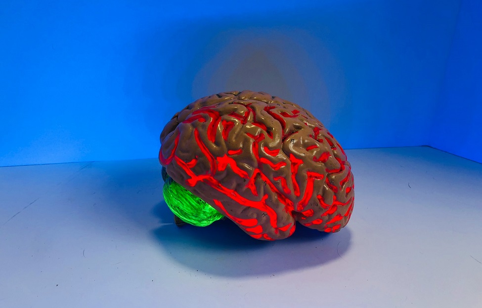 Exigen a la DGA “medidas urgentes" para reducir las demoras en neurocirugía
