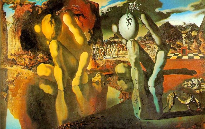 La estulticia, deleznable émula de Narciso
