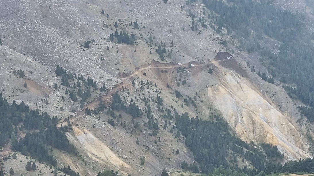 La destrucción del hábitat del urogallo en los Pirineos “financiada con fondos para su conservación”