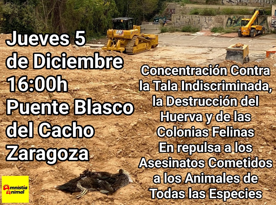 Las obras en La Uerba “están siendo una barbaridad ambiental con un destrozo irrecuperable”