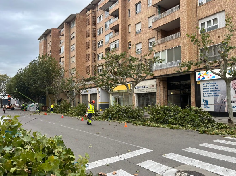 Verdes Equo solicita “la paralización inmediata de la poda de 360 árboles” en Uesca