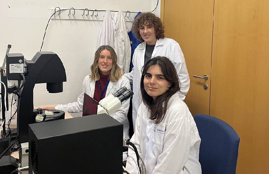 Investigadoras del I3A crean un dispositivo microfluídico para comprender mejor la comunicación entre un tumor cerebral y el sistema inmune