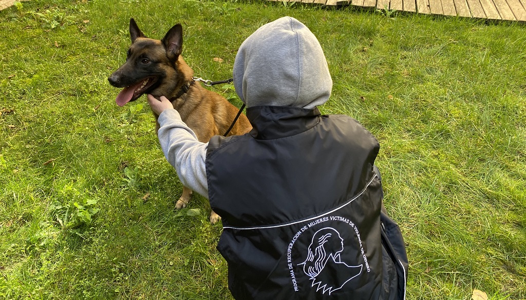 perro protección violencia machista