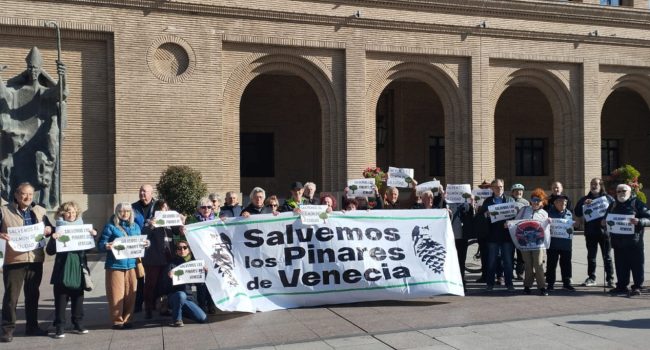 Representantes de la Plataforma "Salvemos los Pinares de Venecia" en la protesta de este lunes a las puertas del Ayuntamiento de Zaragoza | Foto: Olga Conde