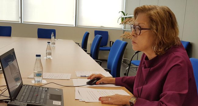 La consejera Pilar Ventura en su comparecencia telemática en la Cortes de Aragón. Foto: DGA