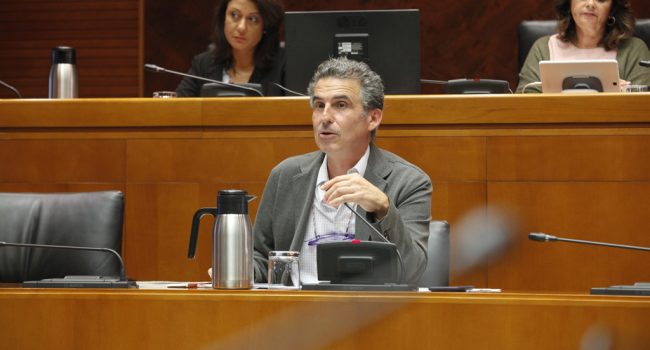 El director general de Salud Pública, Francisco Javier Falo, en su comparecencia ante la Comisión de Sanidad de las Cortes.