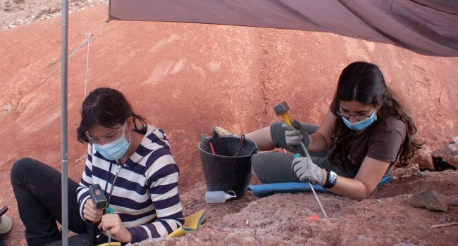 Ester Díaz Berenguer y Raquel Moyá Costa, de la Universidad de Zaragoza, trabajan en uno de los huevos de dinosaurio.