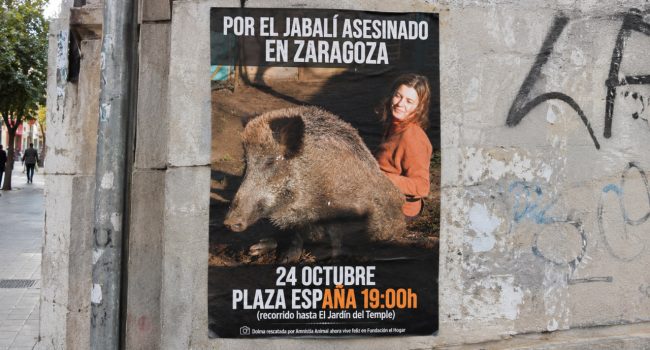 Recreación con el cartel de Amnistía Animal.