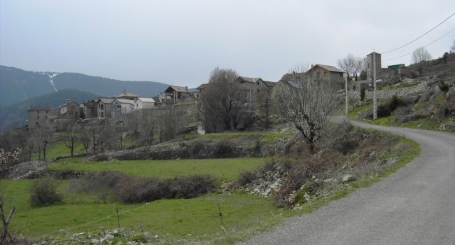 Nerín