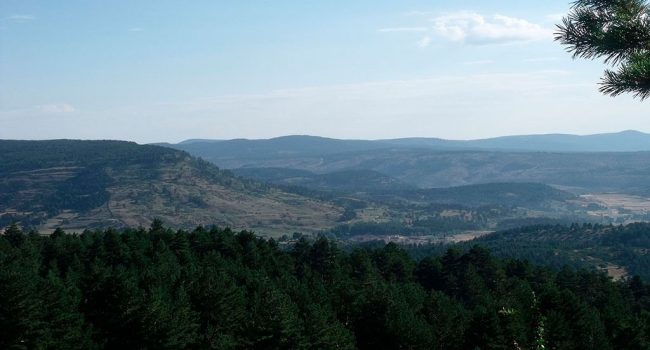 montes universales