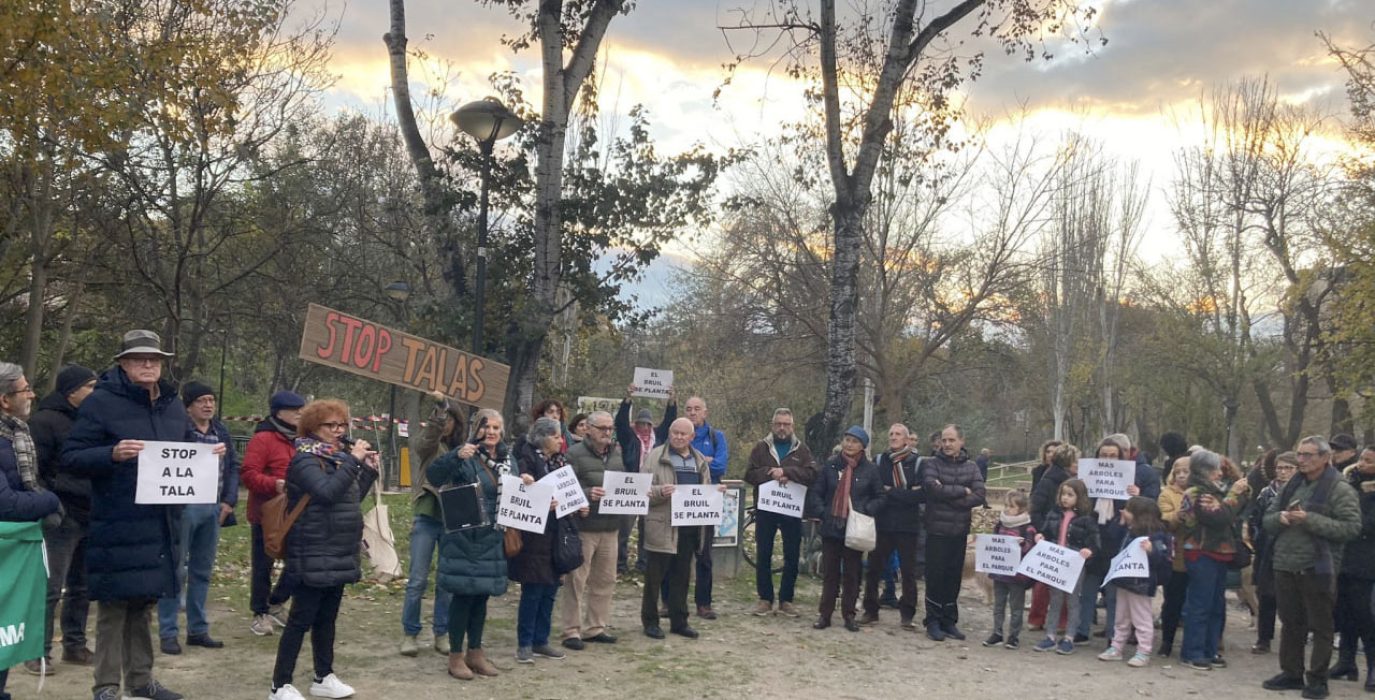 Concentración en defensa del arbolado del parque Bruil | Foto: Vivimos el parque Bruil