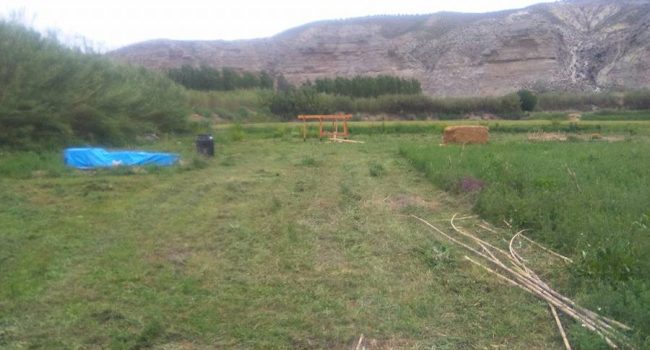 Huerta Permacultura Zaragoza