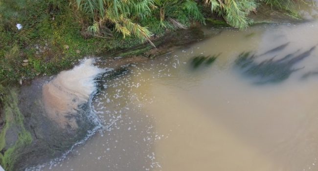 Vertidos en río Cinca. Foto: IU Fraga
