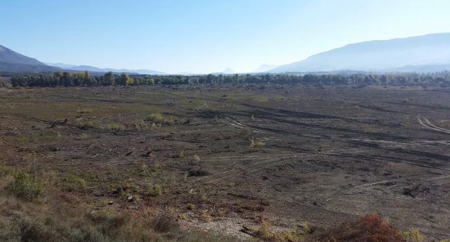 Zona deforestada de zona LIC en la cola del embalse de Yesa. Foto: Asociación Río Aragón.