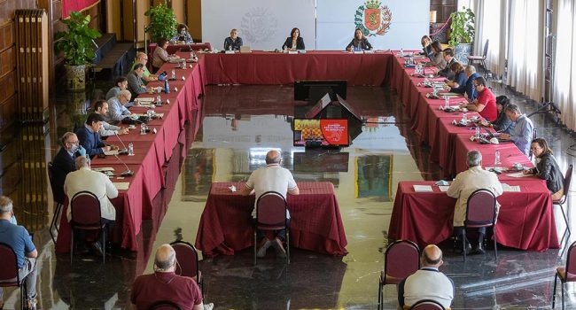 comisión futuro avanza