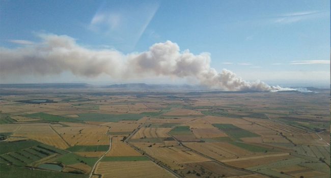 Incendio forestal declarado en Sádaba. Foto: @IIFFAragon