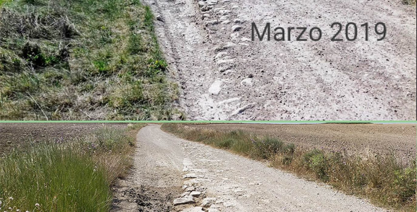 230620Z17 Villanueva de Gállego Calzada romana Redes