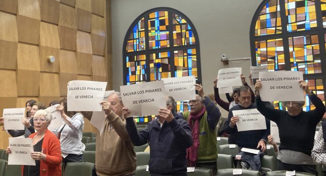 Representantes de colectivos vecinales y ecologistas llevaron la defensa de los Pinares al último pleno municipal.