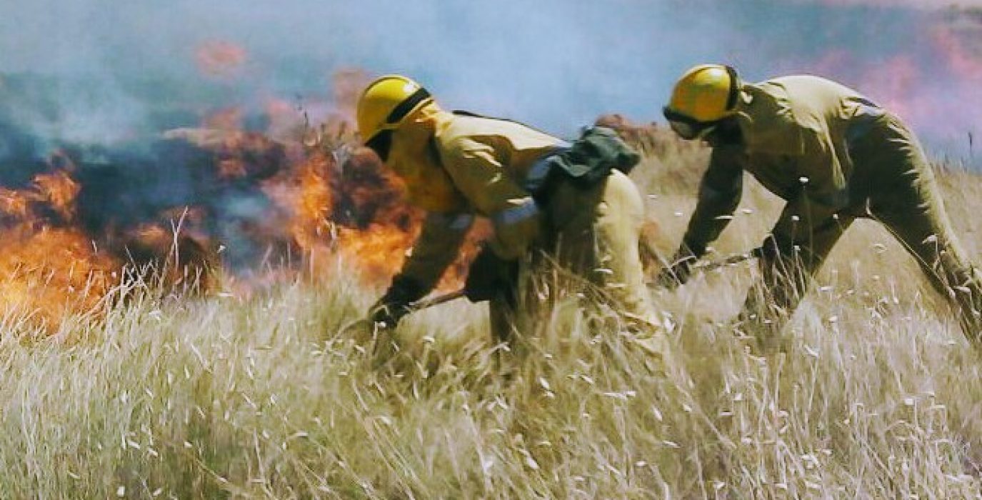 Bomberos forestales tratando de apagar un incendio foto de cerai
