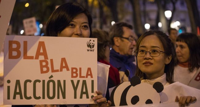 Foto: © David Fernández (WWF)