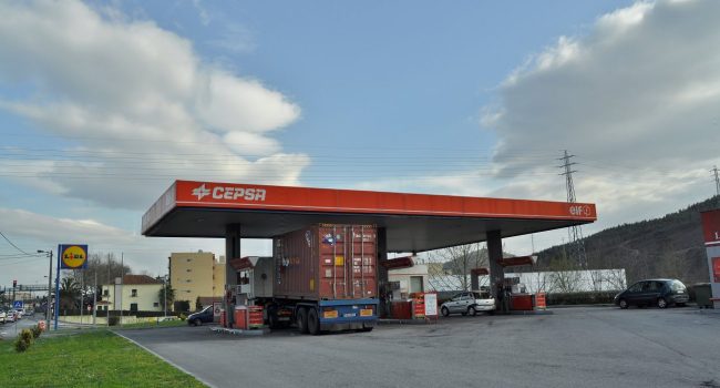 cedipsa