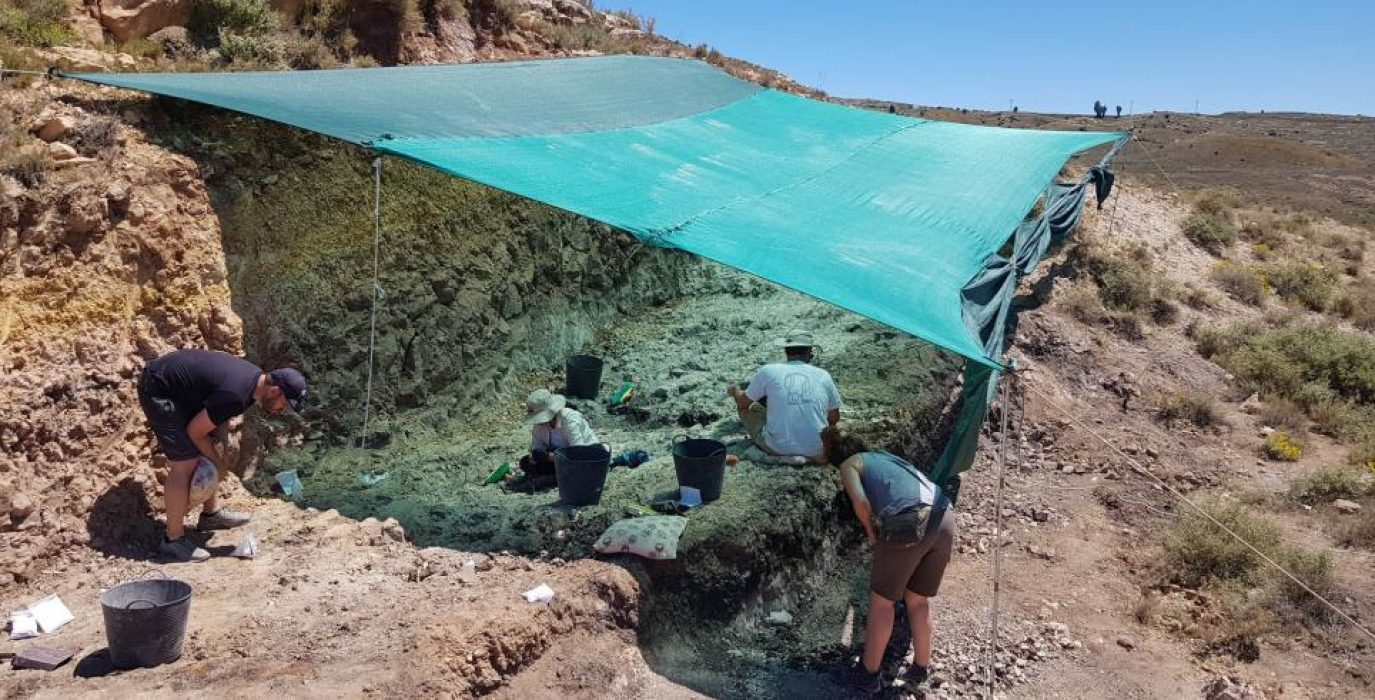 varias personas excavando en la zona de los fósiles