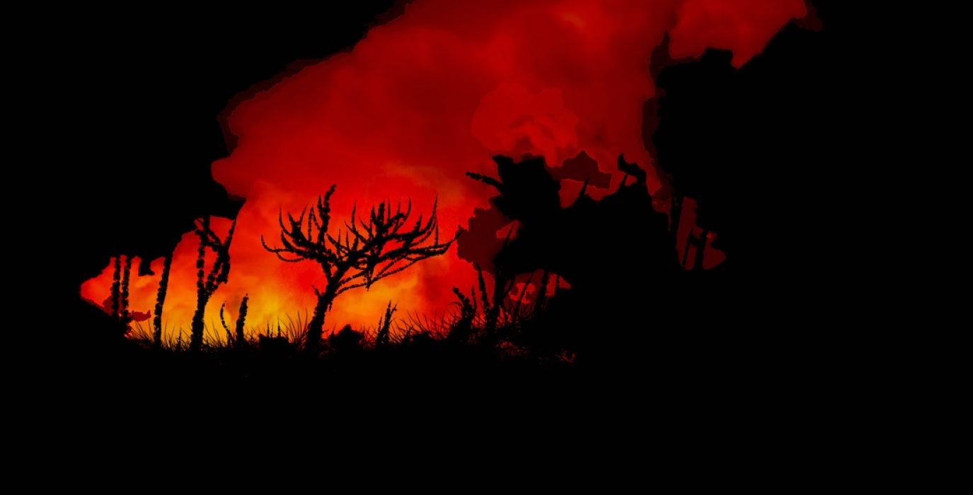 Presentación en Aragón de la “Declaración sobre la gestión de los grandes incendios forestales” en el Estado español