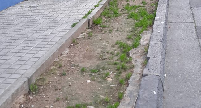 La calle Alcalde G. Giménez de Zaragoza | Foto: ANSAR