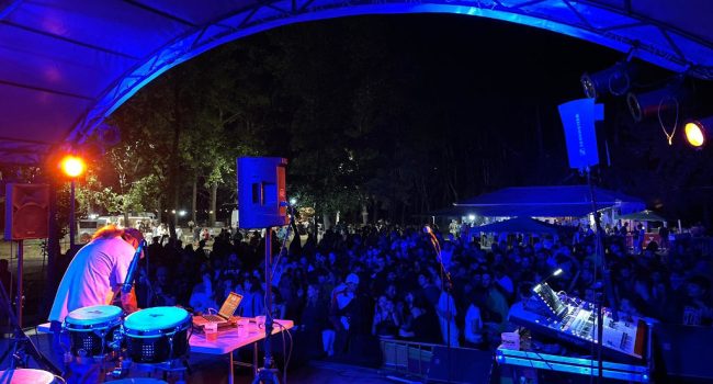 Actuación musical nocturna del festival Sahara Colour Rice