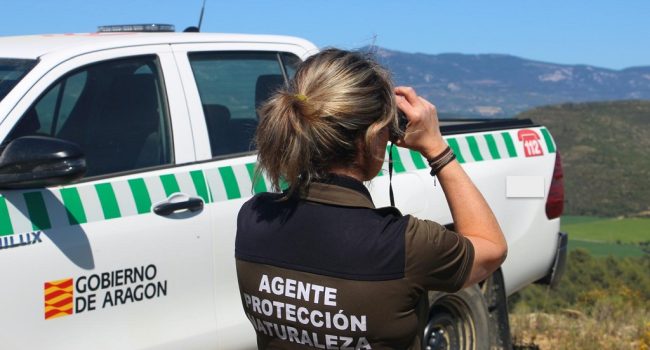 (Archivo 2026) Agente de Protección de la Naturaleza durante su jornada de trabajo | Foto:  Gobierno de Aragón