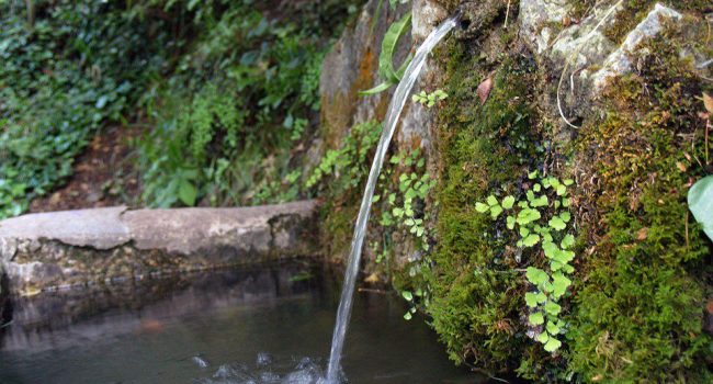 Foto: Ecologistas en Acción