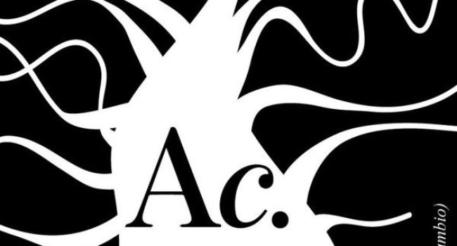 Ahora Huesca En Común asamblea 1