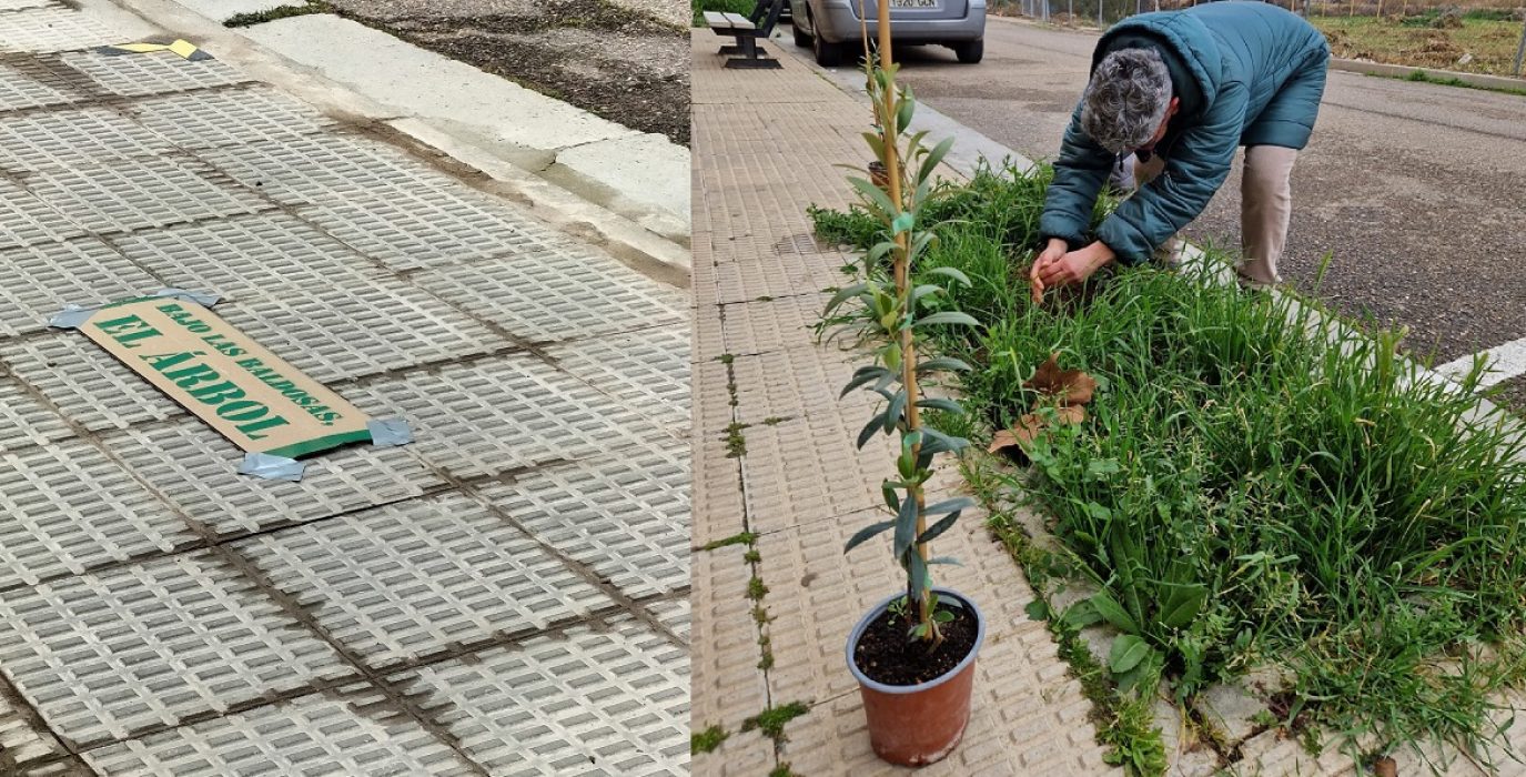 Alagón en Común critica que se multe al Colectivo ReaccionA por plantar árboles en alcorques vacíos