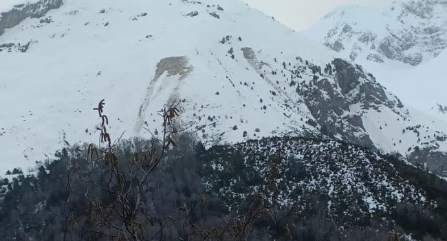 Alud en la cara norte de la carretera del Balneario de Panticosa | Foto: Tato Canela