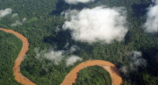 Amazonia boliviana desde el aire. Foto: Jonathan Lewis, publicada bajo licencia CC.