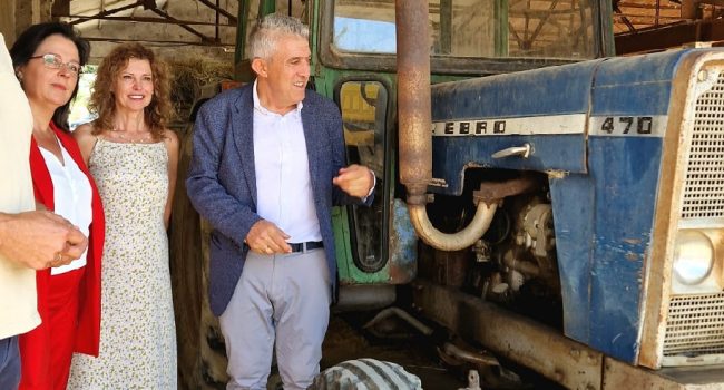 La DGA condena sin ayudas PAC a un tercio de la producción agrícola en ecológico