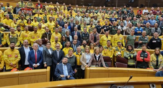 Aprobada la Ley del Estatuto Básico de Bomberos Forestales